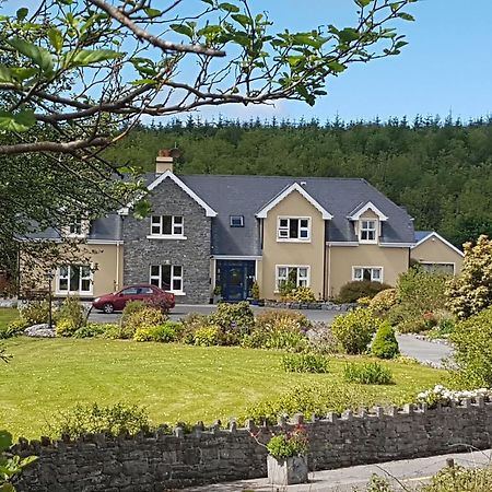 Greenlawn Lodge Lisdoonvarna Dış mekan fotoğraf