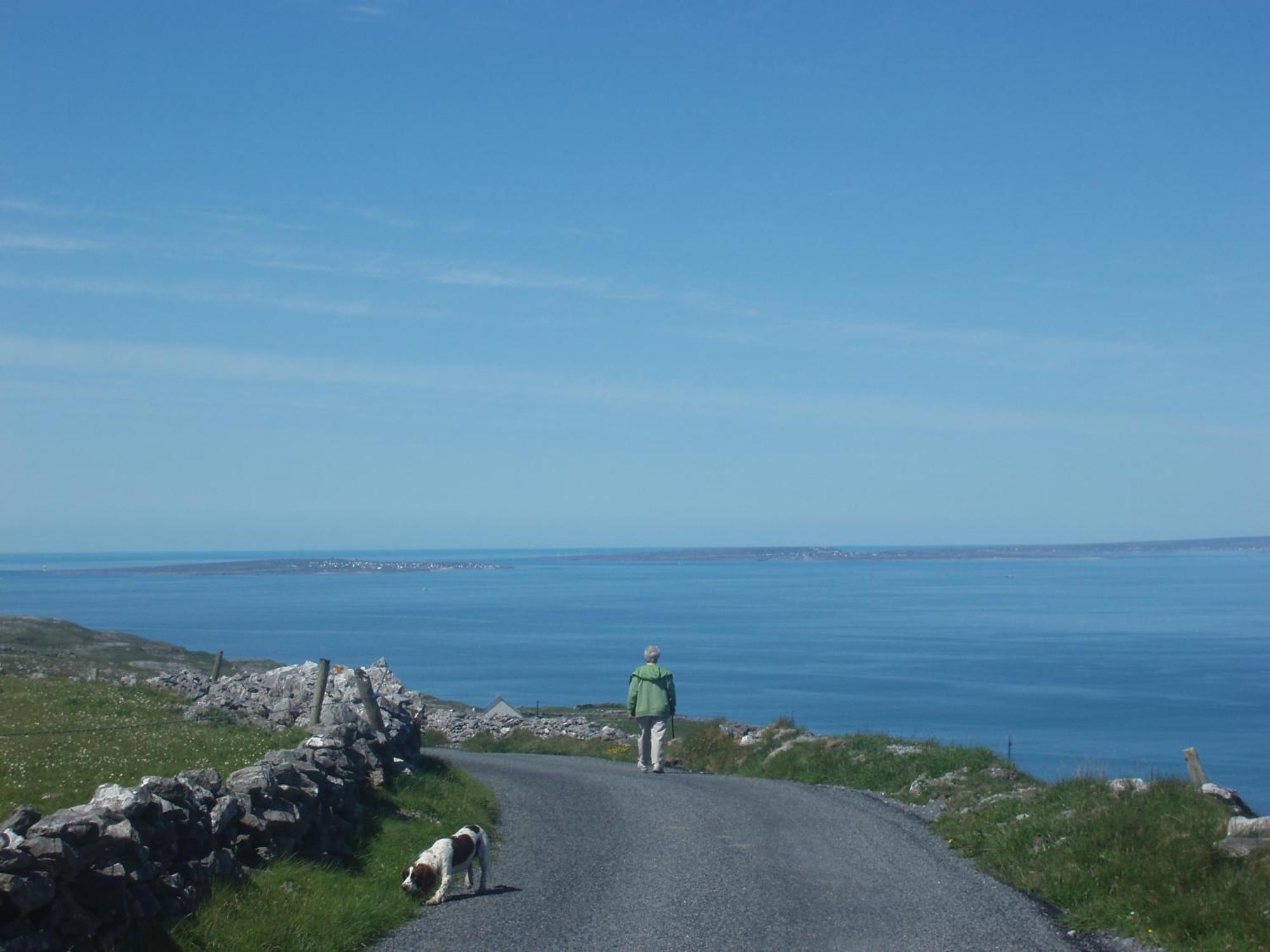 Greenlawn Lodge Lisdoonvarna Dış mekan fotoğraf