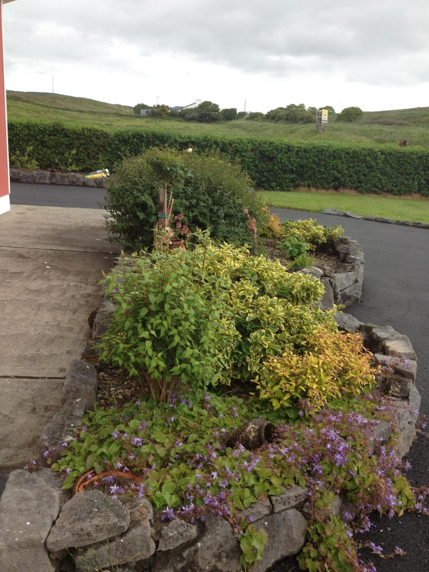 Greenlawn Lodge Lisdoonvarna Dış mekan fotoğraf